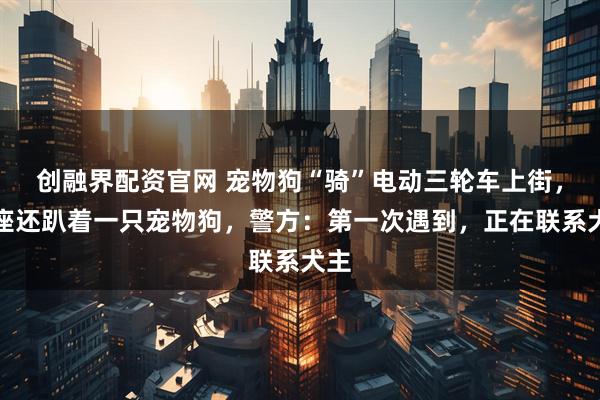 创融界配资官网 宠物狗“骑”电动三轮车上街，后座还趴着一只宠物狗，警方：第一次遇到，正在联系犬主