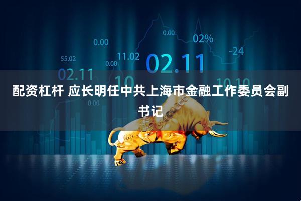 配资杠杆 应长明任中共上海市金融工作委员会副书记