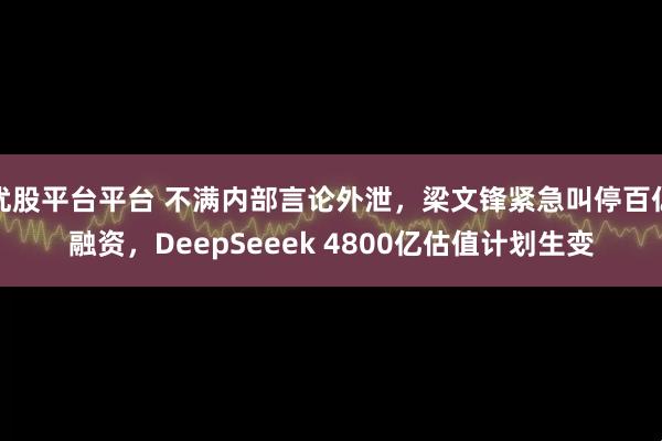 优股平台平台 不满内部言论外泄，梁文锋紧急叫停百亿融资，DeepSeeek 4800亿估值计划生变